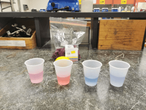 picture of cups after experiment