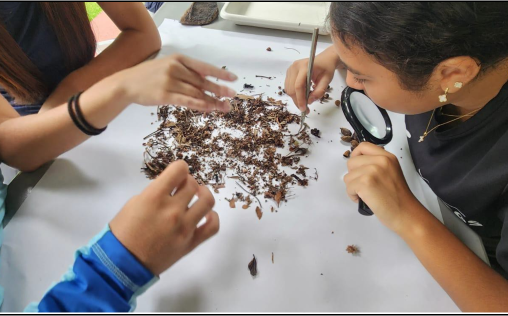 Students inspect soil using their hands and magnifying glasses