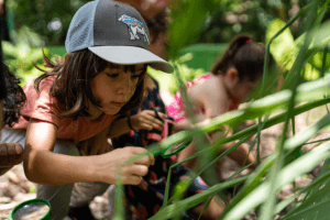 Children looking at plants