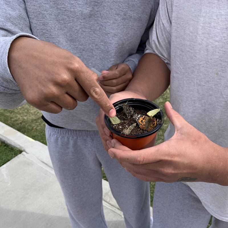 Students at an introductory planting lesson. They released butterflies in celebration of the start of the Milkweed Project for Monarch conservation.