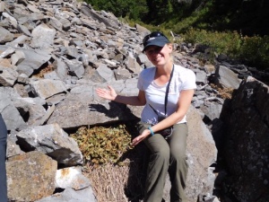   Biologist Johanna Varner excited to find a pika haypile at Grays Peak in Idaho.