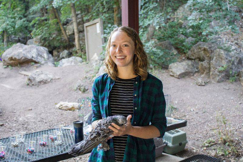 Ambassador Anna Vickrey displays a pigeon at her booth in 2017