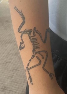 Tattoo of dinosaur skeleton